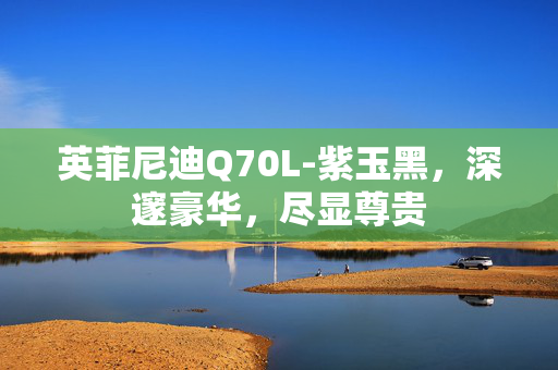 英菲尼迪Q70L-紫玉黑，深邃豪华，尽显尊贵