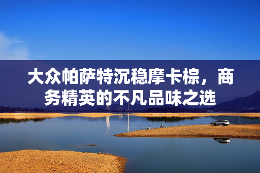 大众帕萨特沉稳摩卡棕，商务精英的不凡品味之选