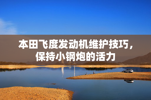 本田飞度发动机维护技巧，保持小钢炮的活力