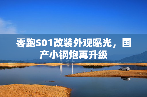 零跑S01改装外观曝光，国产小钢炮再升级