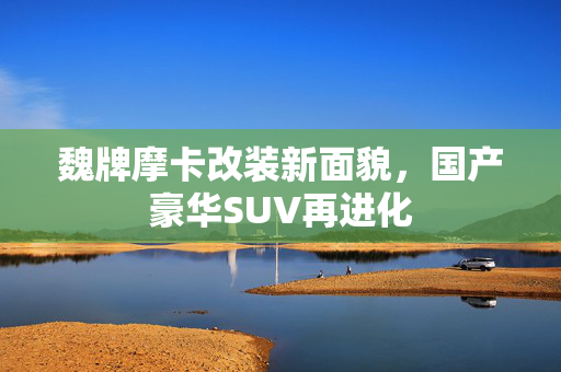 魏牌摩卡改装新面貌，国产豪华SUV再进化