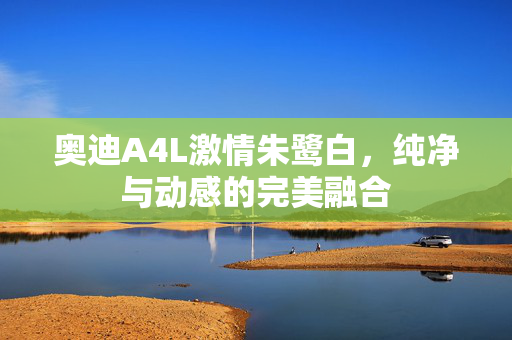 奥迪A4L激情朱鹭白，纯净与动感的完美融合
