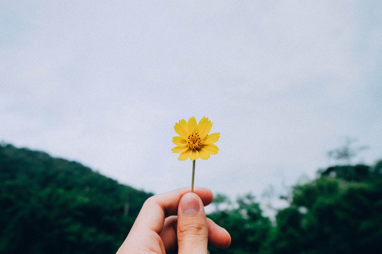 最近缺钱？分享几个好下款的借钱口子给你！
