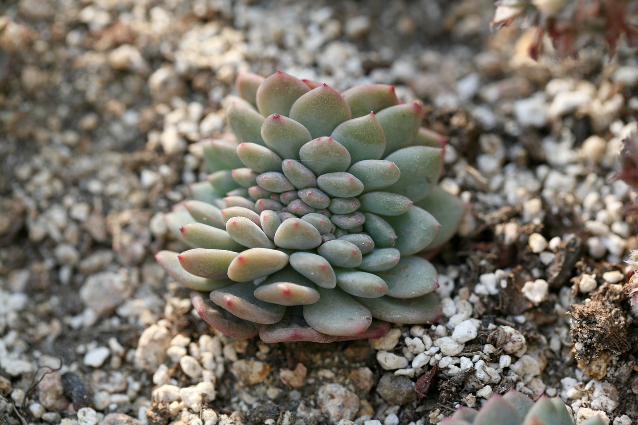 总是贷款失败？搞清楚综合评分不足是怎么回事很重要！