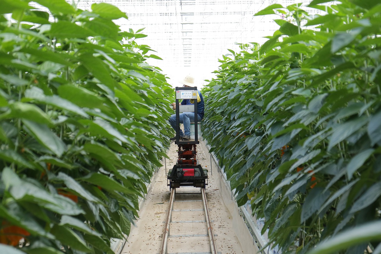 盘点几个不查征信和负债的贷款平台，轻松解决借钱难题！  第3张