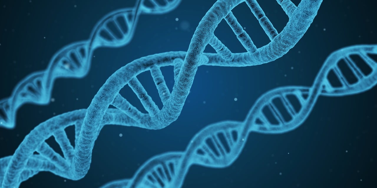 种植萝卜如何科学施药，高效、安全的打药技巧  第2张