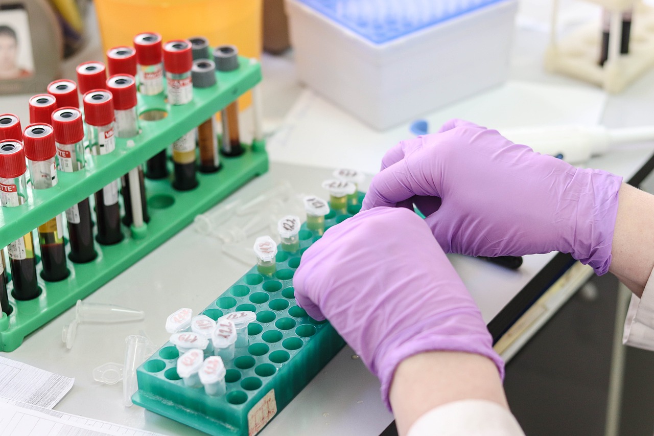 种植萝卜如何科学施药，高效、安全的打药技巧  第1张